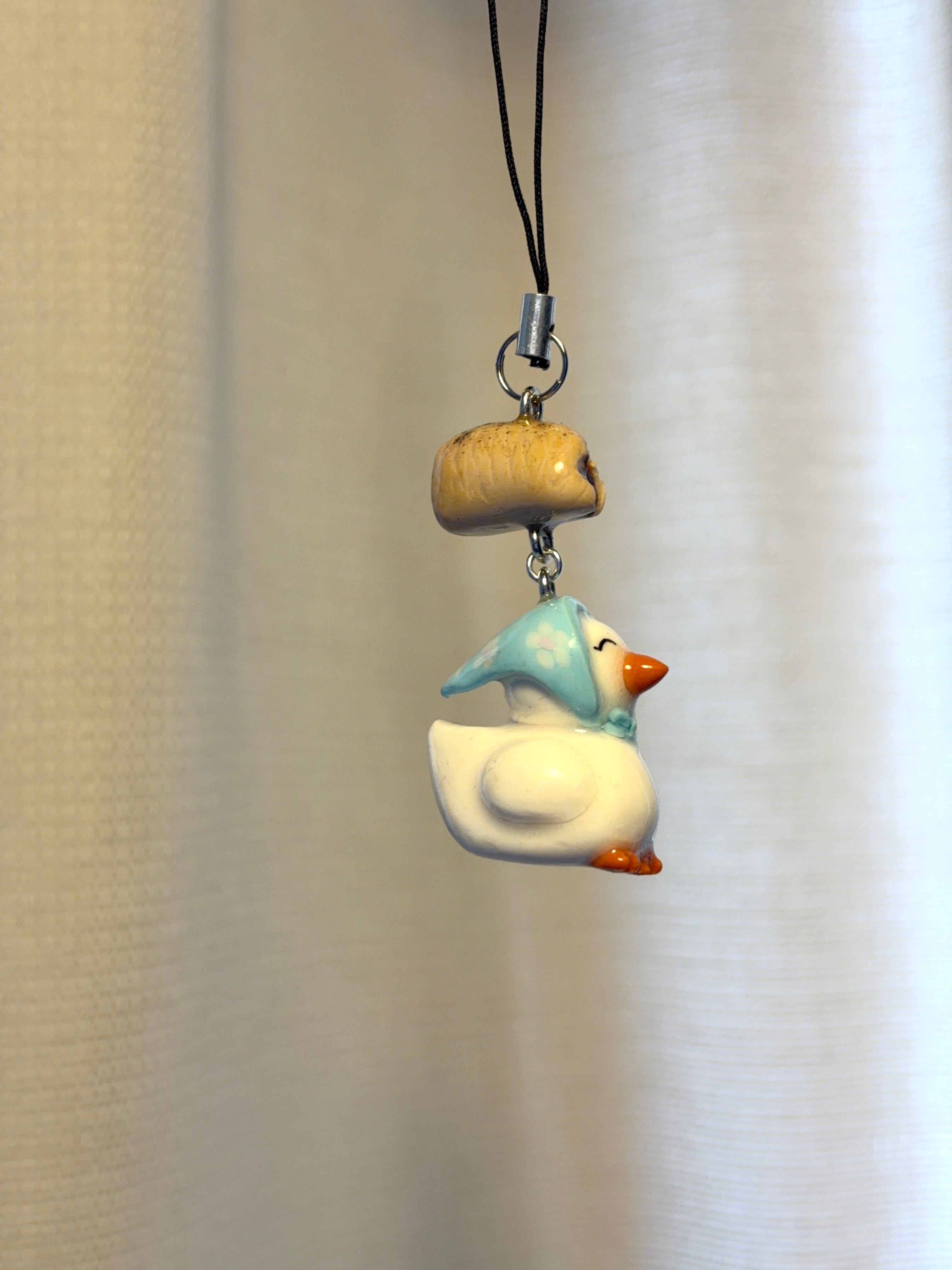 Aveiro Duck