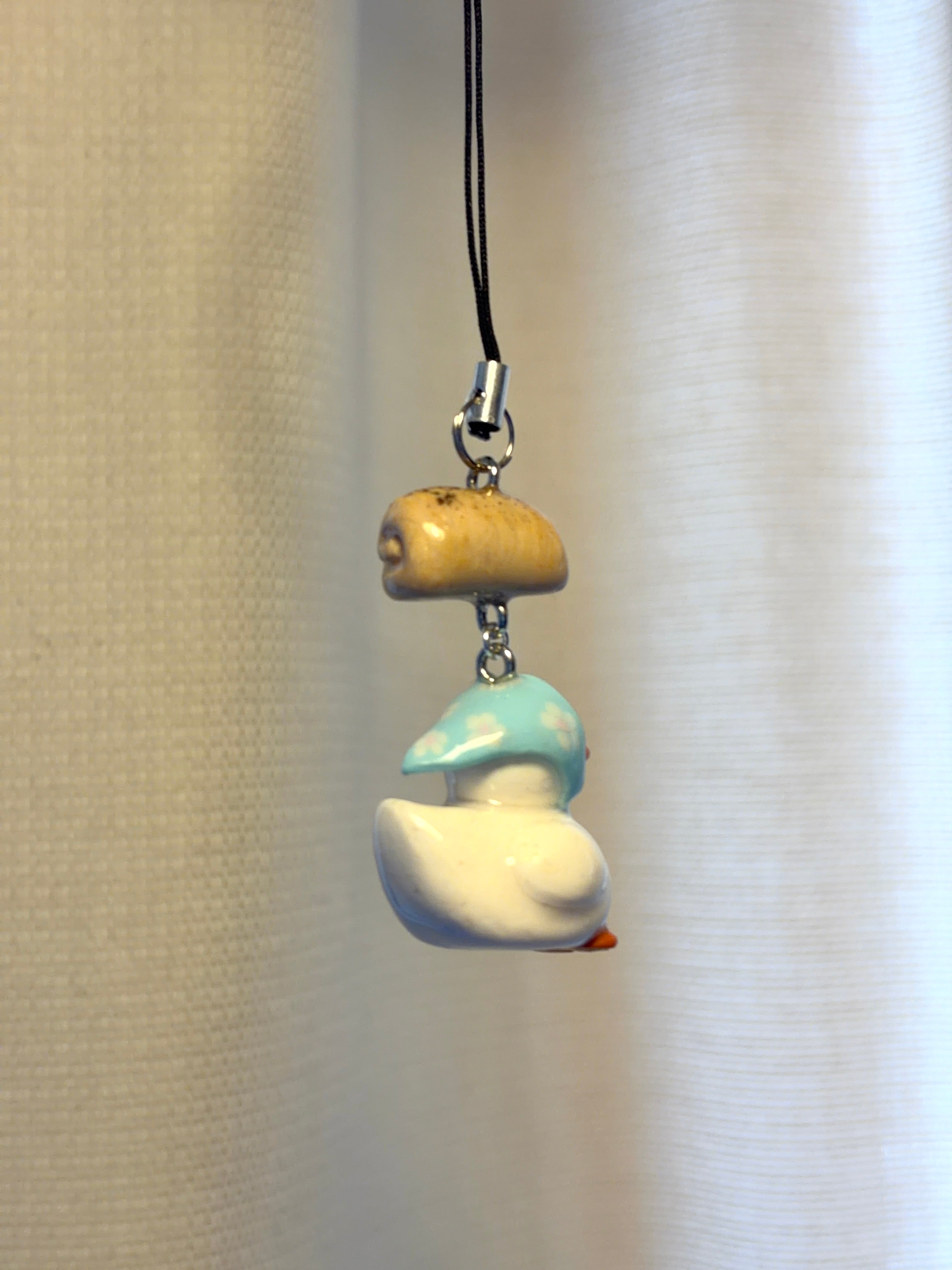 Aveiro Duck
