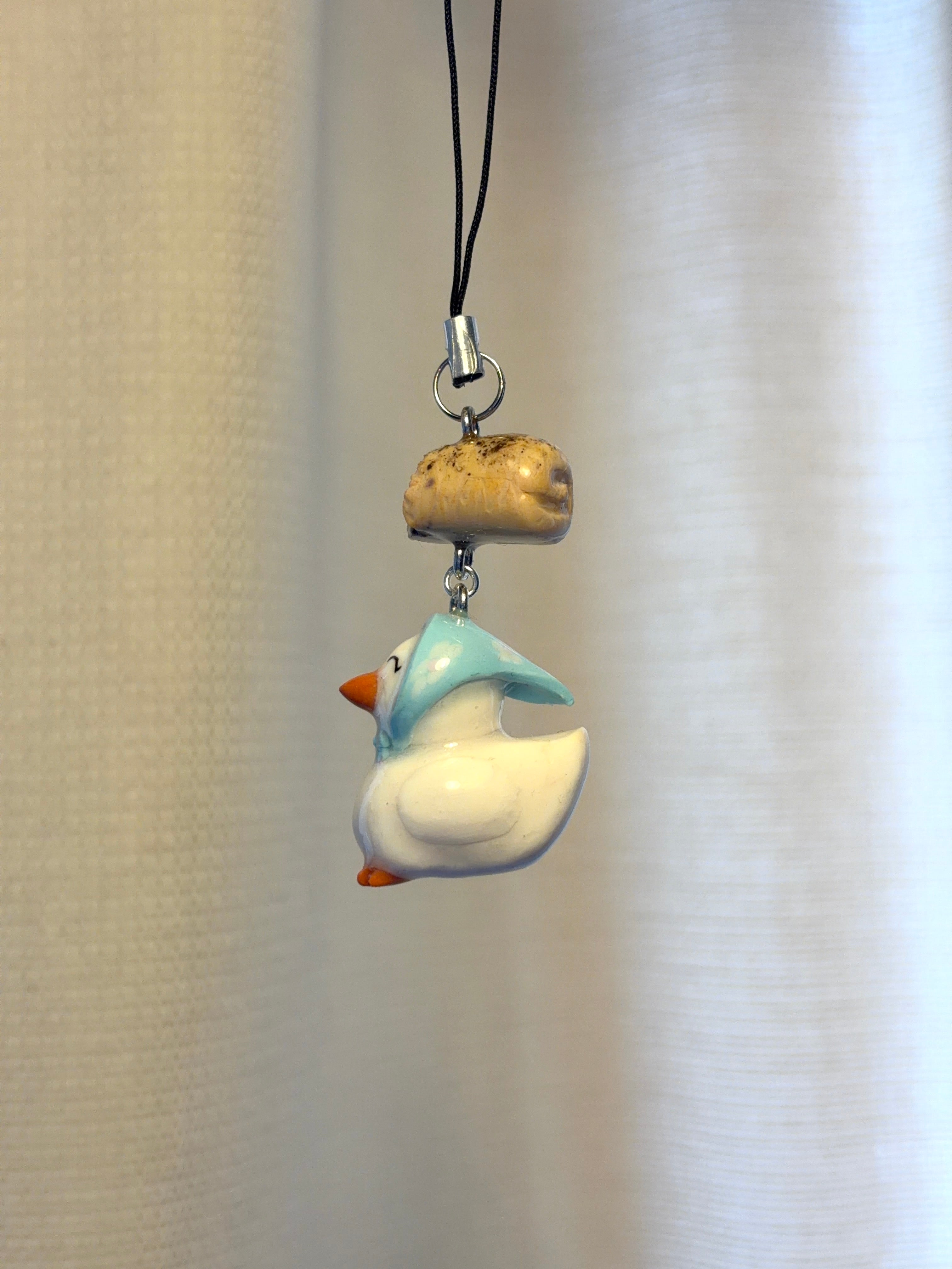 Aveiro Duck